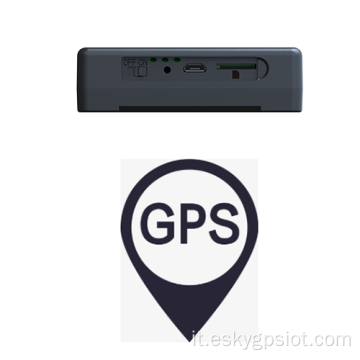 Modulo standard localizzatore di risorse GPS wireless